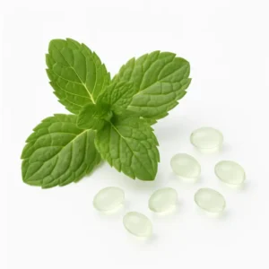 borsmenta gyöngyöcskék