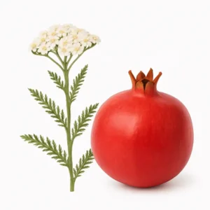 cickafark és gránátalma