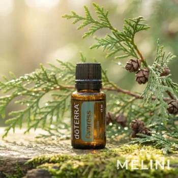 doTERRA Ciprus illóolaj