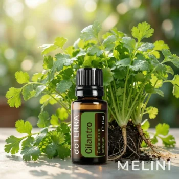 doTERRA Korianderzöld illóolaj