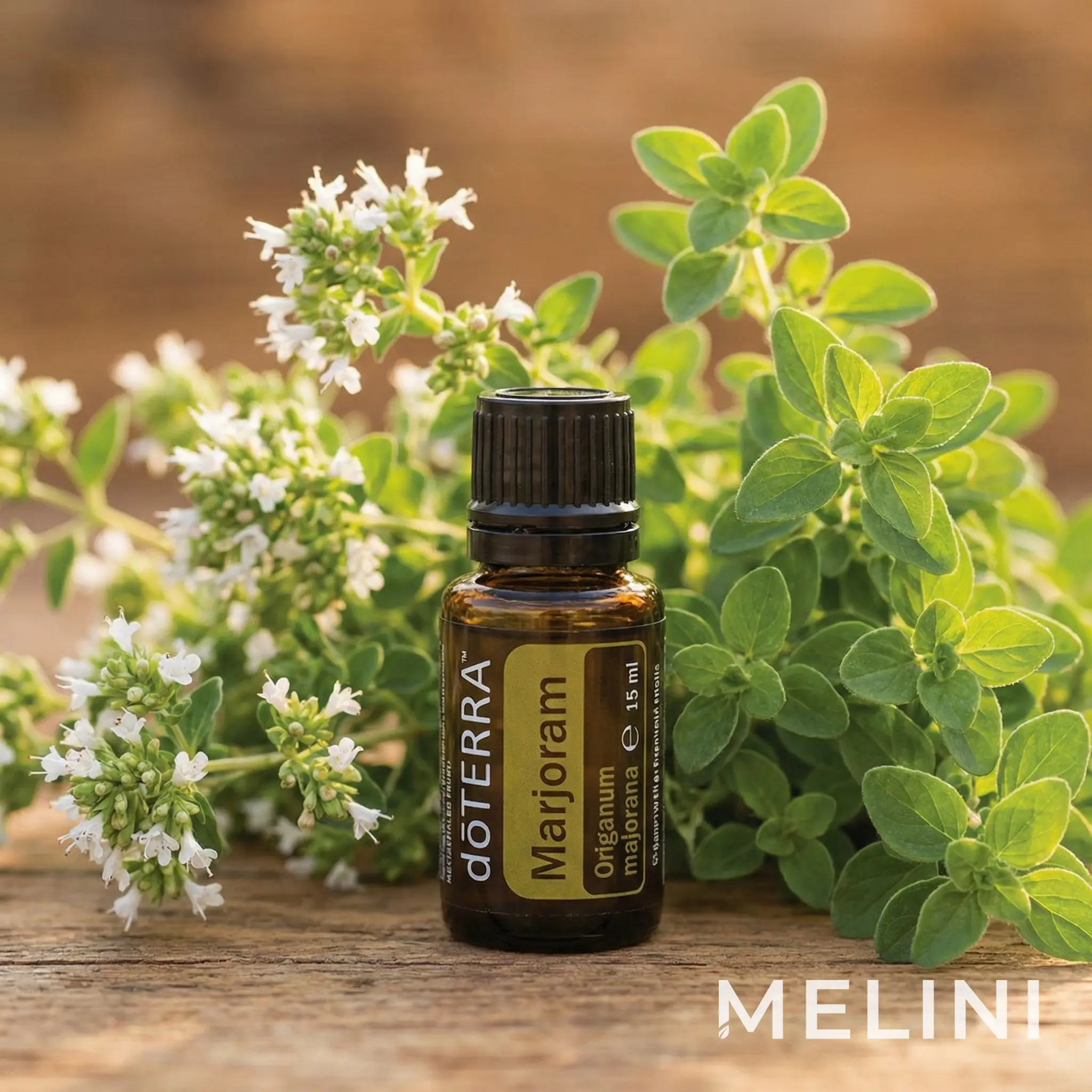 doTERRA Majoranna