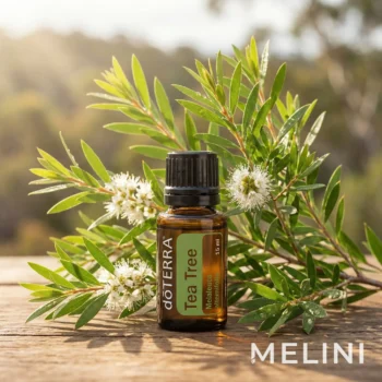 doTERRA Teafa