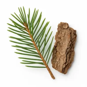 fenyőtű és kéreg