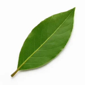 babérlevél