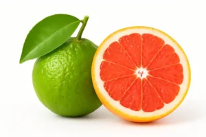 bergamott grépfrút
